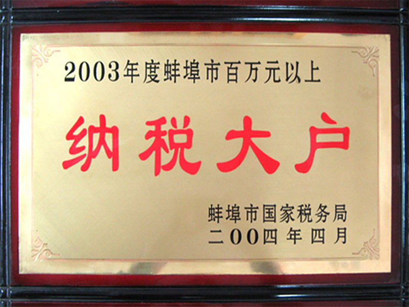 2003年度納稅大戶(hù)