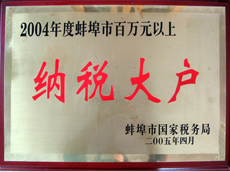 2004年度納稅大戶(hù)